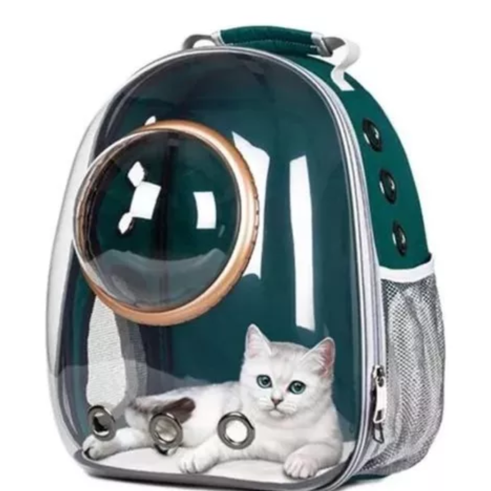 🐶  Morral Astropet Burbuja Transparente Mascotas Gatos Perros 🐾